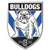 2010 Canterbury Bankstown Bulldogs Logo